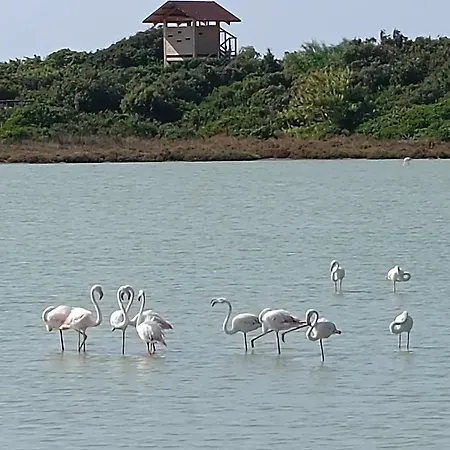 בית נופש Casadelpini -de 5 A 8 Personnes - Jardin - 800m סן פייטרו אין בוואניה