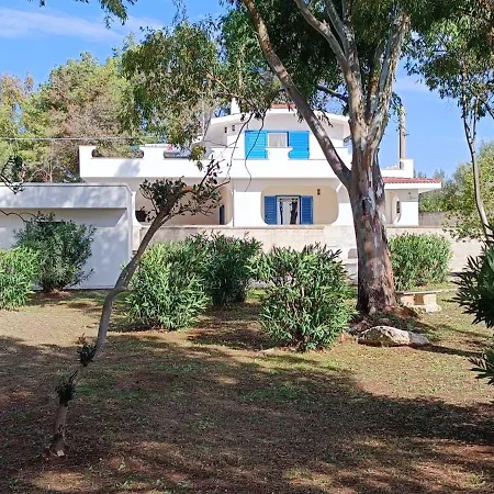 Casadelpini -de 5 A 8 Personnes - Jardin - 800m סן פייטרו אין בוואניה